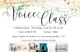Voice Class Website